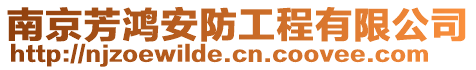 南京芳鴻安防工程有限公司