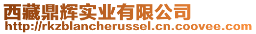 西藏鼎輝實業(yè)有限公司