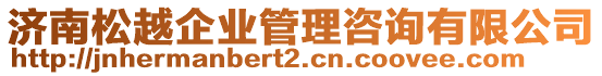 濟(jì)南松越企業(yè)管理咨詢(xún)有限公司