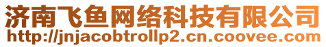 濟(jì)南飛魚網(wǎng)絡(luò)科技有限公司