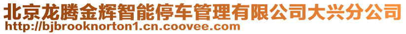 北京龍騰金輝智能停車管理有限公司大興分公司