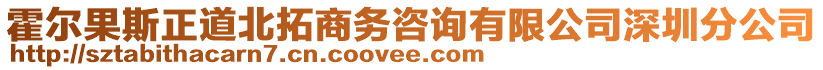 霍爾果斯正道北拓商務(wù)咨詢有限公司深圳分公司