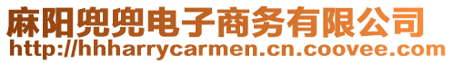 麻陽(yáng)兜兜電子商務(wù)有限公司