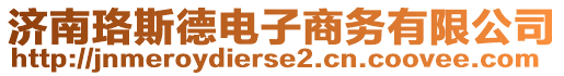 濟南珞斯德電子商務有限公司