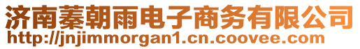 濟(jì)南蓁朝雨電子商務(wù)有限公司
