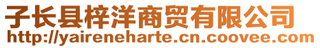 子長縣梓洋商貿(mào)有限公司