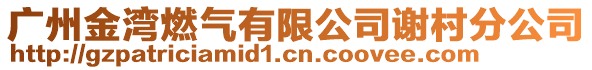 廣州金灣燃?xì)庥邢薰局x村分公司