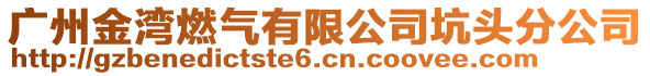 廣州金灣燃?xì)庥邢薰究宇^分公司