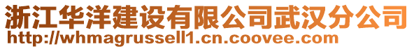 浙江華洋建設有限公司武漢分公司