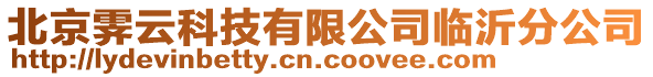 北京霽云科技有限公司臨沂分公司