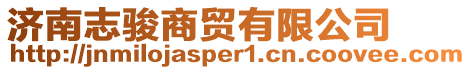 濟南志駿商貿(mào)有限公司