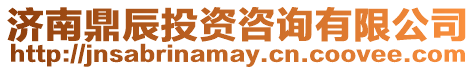 濟(jì)南鼎辰投資咨詢有限公司
