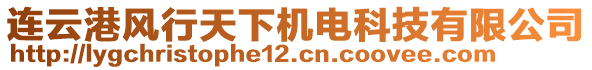 連云港風行天下機電科技有限公司