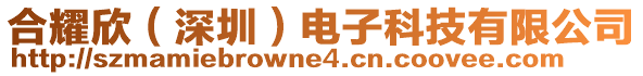 合耀欣（深圳）電子科技有限公司