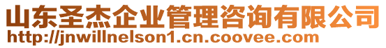 山東圣杰企業(yè)管理咨詢有限公司