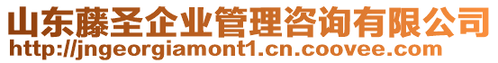 山東藤圣企業(yè)管理咨詢有限公司