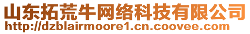 山東拓荒牛網(wǎng)絡科技有限公司
