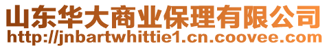 山東華大商業(yè)保理有限公司