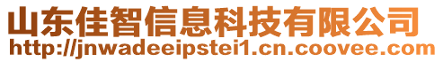 山東佳智信息科技有限公司