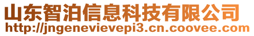 山東智泊信息科技有限公司