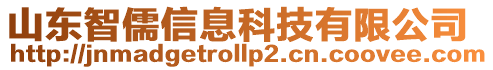 山東智儒信息科技有限公司