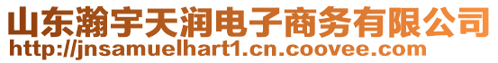 山東瀚宇天潤(rùn)電子商務(wù)有限公司