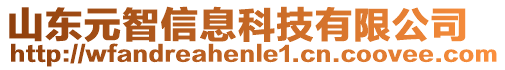 山東元智信息科技有限公司