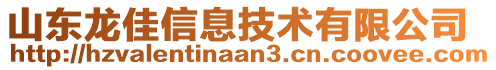 山東龍佳信息技術(shù)有限公司