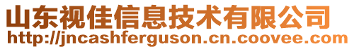 山東視佳信息技術有限公司