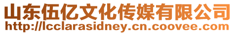 山東伍億文化傳媒有限公司