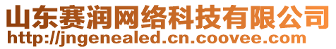 山東賽潤網絡科技有限公司