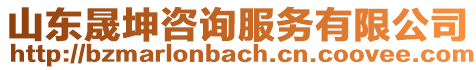 山東晟坤咨詢服務有限公司