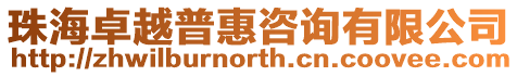 珠海卓越普惠咨詢有限公司