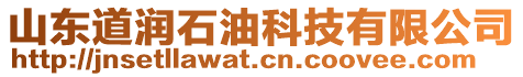 山東道潤石油科技有限公司