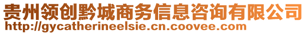 貴州領(lǐng)創(chuàng)黔城商務(wù)信息咨詢有限公司