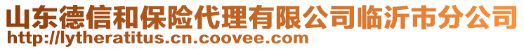 山東德信和保險代理有限公司臨沂市分公司