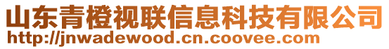 山東青橙視聯信息科技有限公司