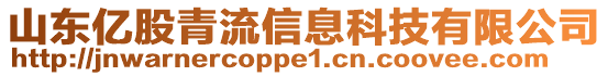 山東億股青流信息科技有限公司