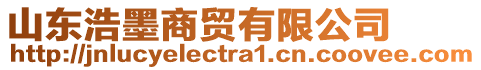 山東浩墨商貿有限公司