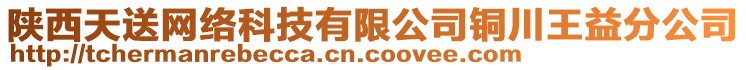 陜西天送網絡科技有限公司銅川王益分公司