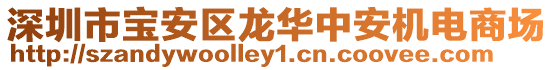 深圳市寶安區龍華中安機電商場
