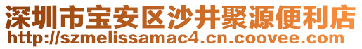 深圳市寶安區(qū)沙井聚源便利店