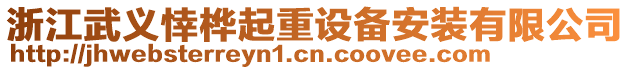 浙江武義悻樺起重設備安裝有限公司