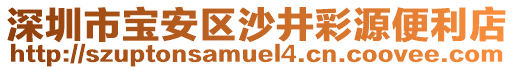 深圳市寶安區沙井彩源便利店