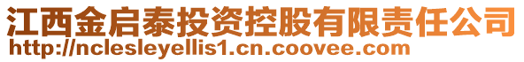 江西金啟泰投資控股有限責(zé)任公司