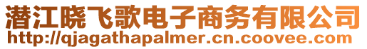 潛江曉飛歌電子商務有限公司