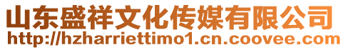 山東盛祥文化傳媒有限公司