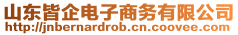 山東皆企電子商務(wù)有限公司