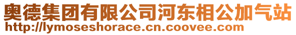 奧德集團有限公司河?xùn)|相公加氣站