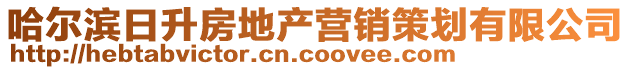 哈爾濱日升房地產營銷策劃有限公司